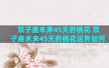双子座未来45天的桃花 双子座未来45天的桃花运势如何